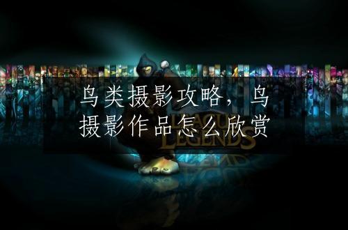 鸟类摄影攻略，鸟摄影作品怎么欣赏