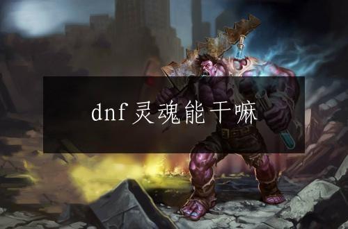 dnf灵魂能干嘛